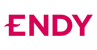 endy logo